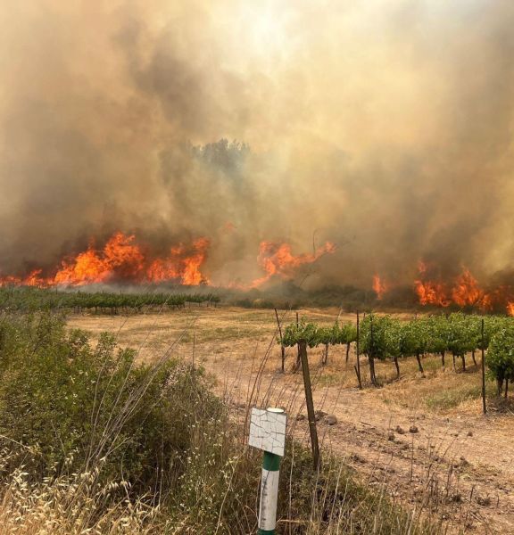 תמונה של אזהרה חמורה למטיילים:  אלו היערות שקק"ל אוסרת להגיע אליהם בעקבות השריפות - למטייל בישראל (טיולי)