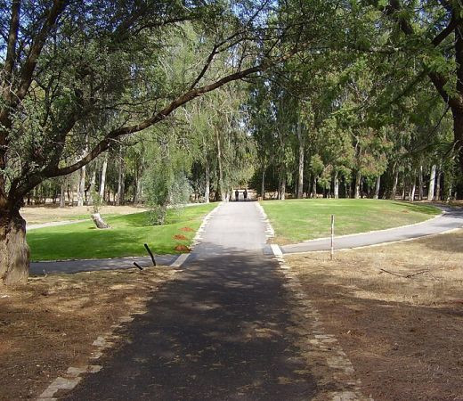 תמונה של יער האילנות: גן בוטני ומרכז מבקרים - למטייל בישראל (טיולי)