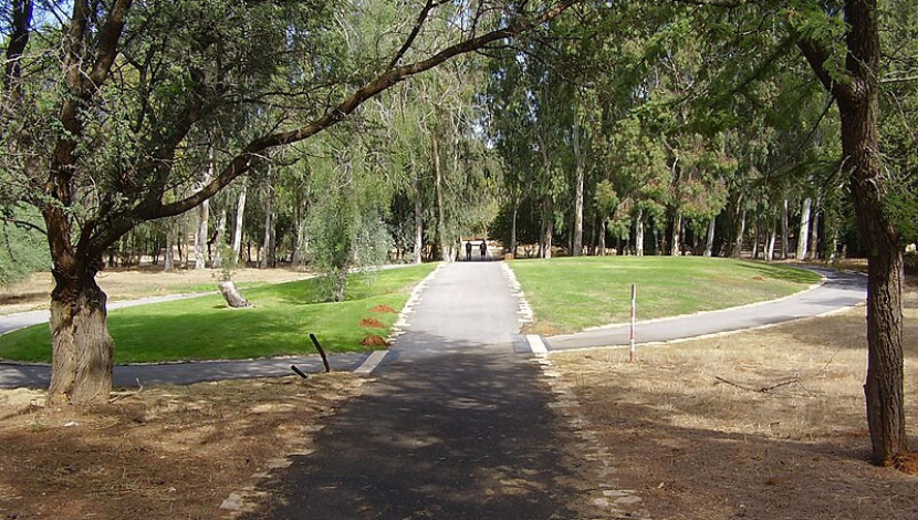 יער האילנות: גן בוטני ומרכז מבקרים (1)