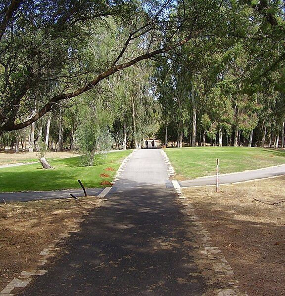 תמונה של יער האילנות: גן בוטני ומרכז מבקרים - למטייל בישראל (טיולי)