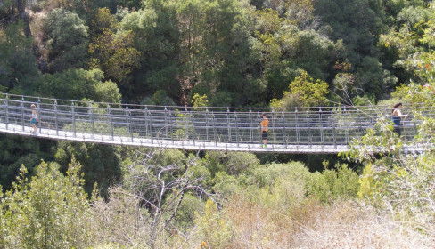תמונה של פארק נשר: הגשרים התלויים בנחל קטיע - למטייל בישראל (טיולי)