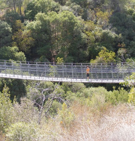 תמונה של פארק נשר: הגשרים התלויים בנחל קטיע - למטייל בישראל (טיולי)