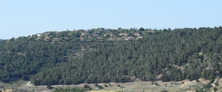 סוויטה בטבע נוף נחל ציפורי (1)