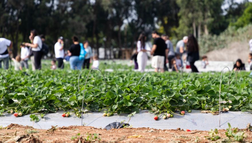 צילום: נווה תות עדנים