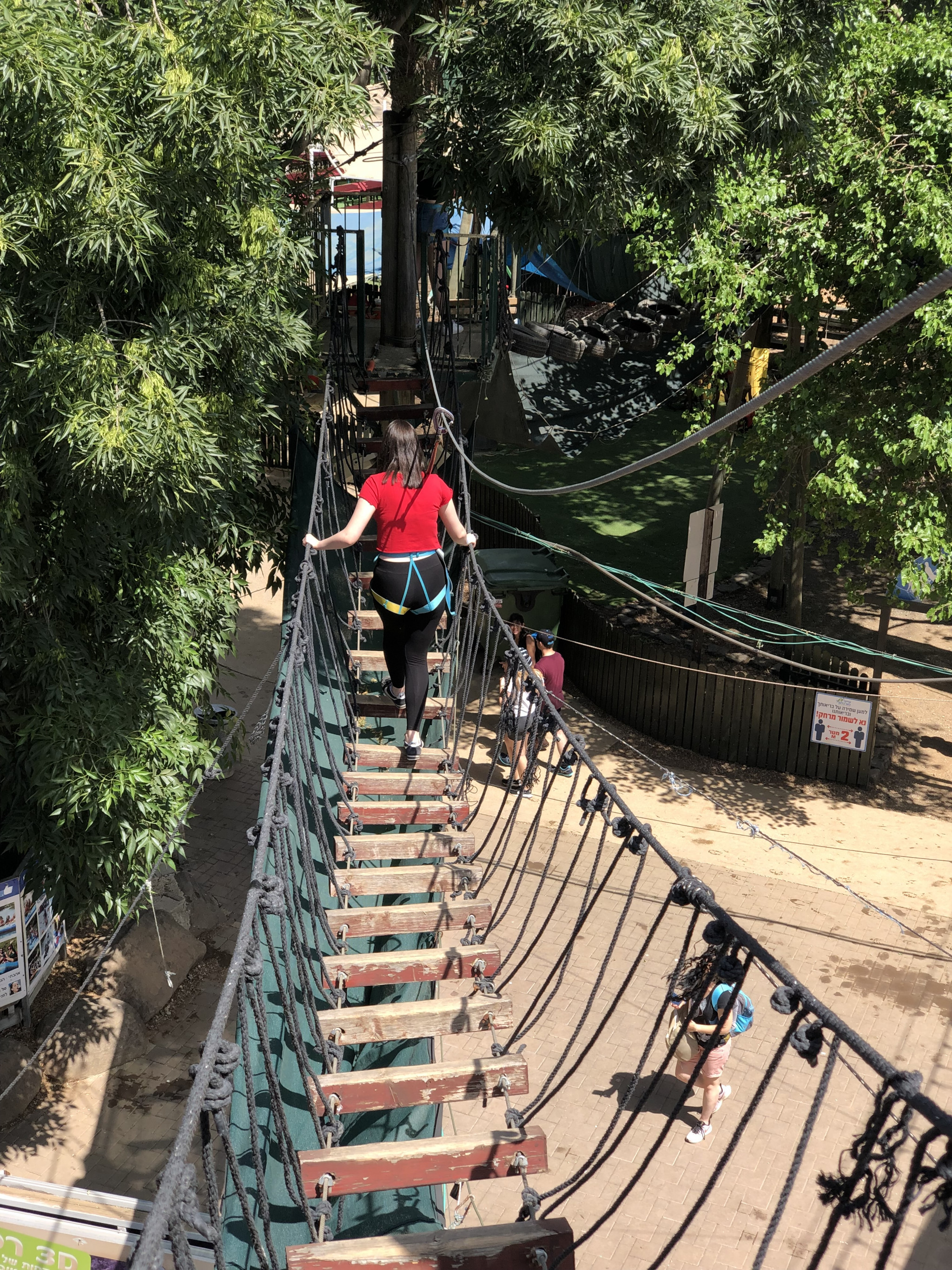 אמיצים ללכת על גשר החבלים? | צילום: גיל בהר