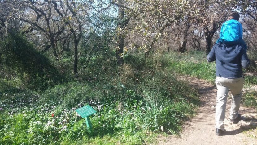 לוקחים אוויר: טיולי סתיו חינמיים של החברה להגנת הטבע (1)
