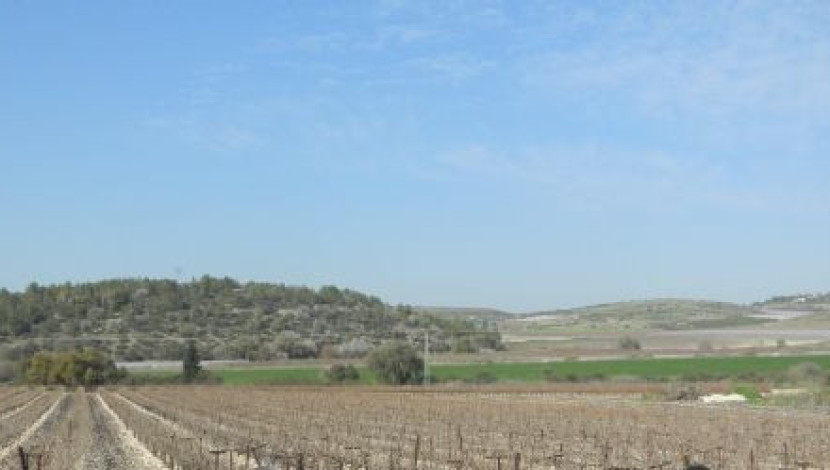 סבתא בג'ינס מטיילת - טיול נכדים הורים וסבים   (1)