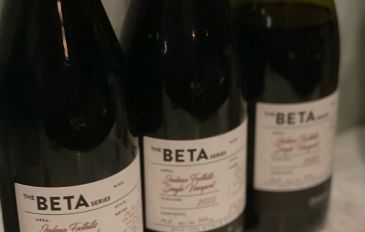 סדרת יינות הבוטיק BETA של ברקן עכשיו גם אצלכם בבית! (3)