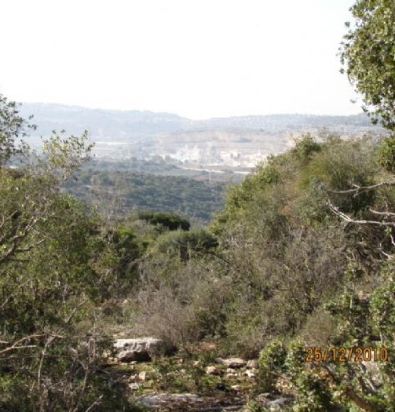 תמונה של הר חורשן - למטייל בישראל (טיולי)