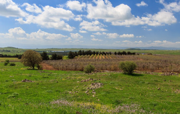 קטע מספר 2: מתל קצעה לבאב אל הווא (2)
