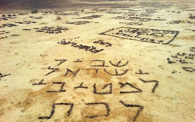 צילום: יניר יגל