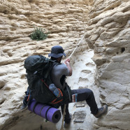 תמונה מתוך למטייל בישראל (טיולי)