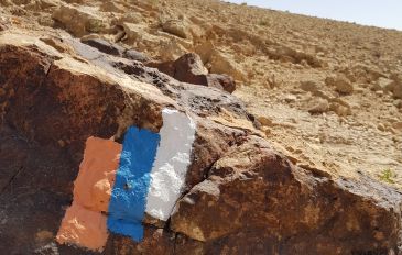 רגע לפני הגשמים: 4 המסלולים הכי שווים בשביל ישראל (2)