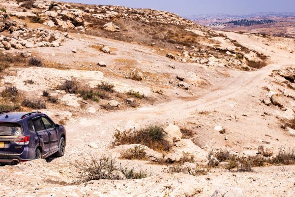שביל ישראל 4X4 - מקטע 9: מיער להב לתל ערד (4)
