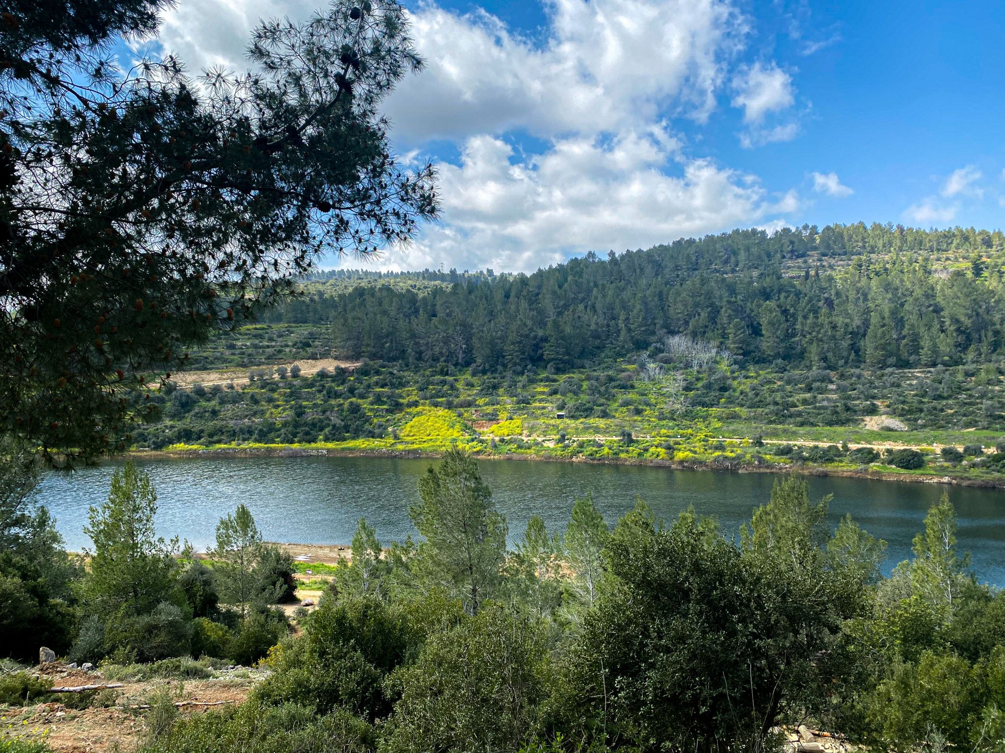 היופי הזה נמצא במאגר בית זית | צילום: בטן מלאה