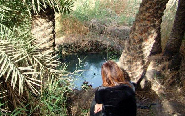 תמונה מתוך תוכן באתר למטייל בישראל (טיולי)