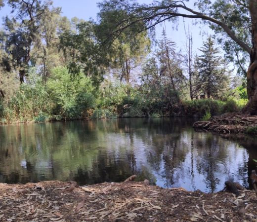 תמונה של יש למה לחכות: 11 הגנים הלאומיים שצפויים להפתח ולהתחדש ב-2021 - למטייל בישראל (טיולי)