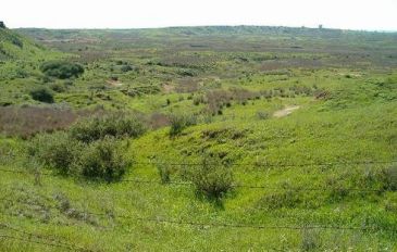 מסלול אופניים ביער בארי - סינגל יער בארי: מסלולי אופניים לכל המשפחה (2)