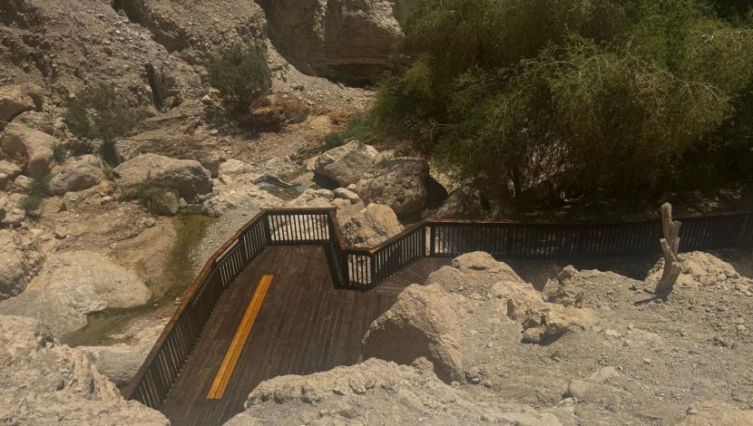 תצפית נחל דוד לאחר השיקום - יותר משנה אחרי שנסגרה בשיטפון: שמורת עין גדי נפתחה במלואה למטיילים (1)