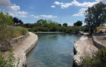 יום כיף באזור עמק המעיינות: מגלשות מים בטבע ומפגש עם קנגרו (3)