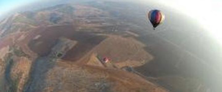 רייז כדורים פורחים (1)