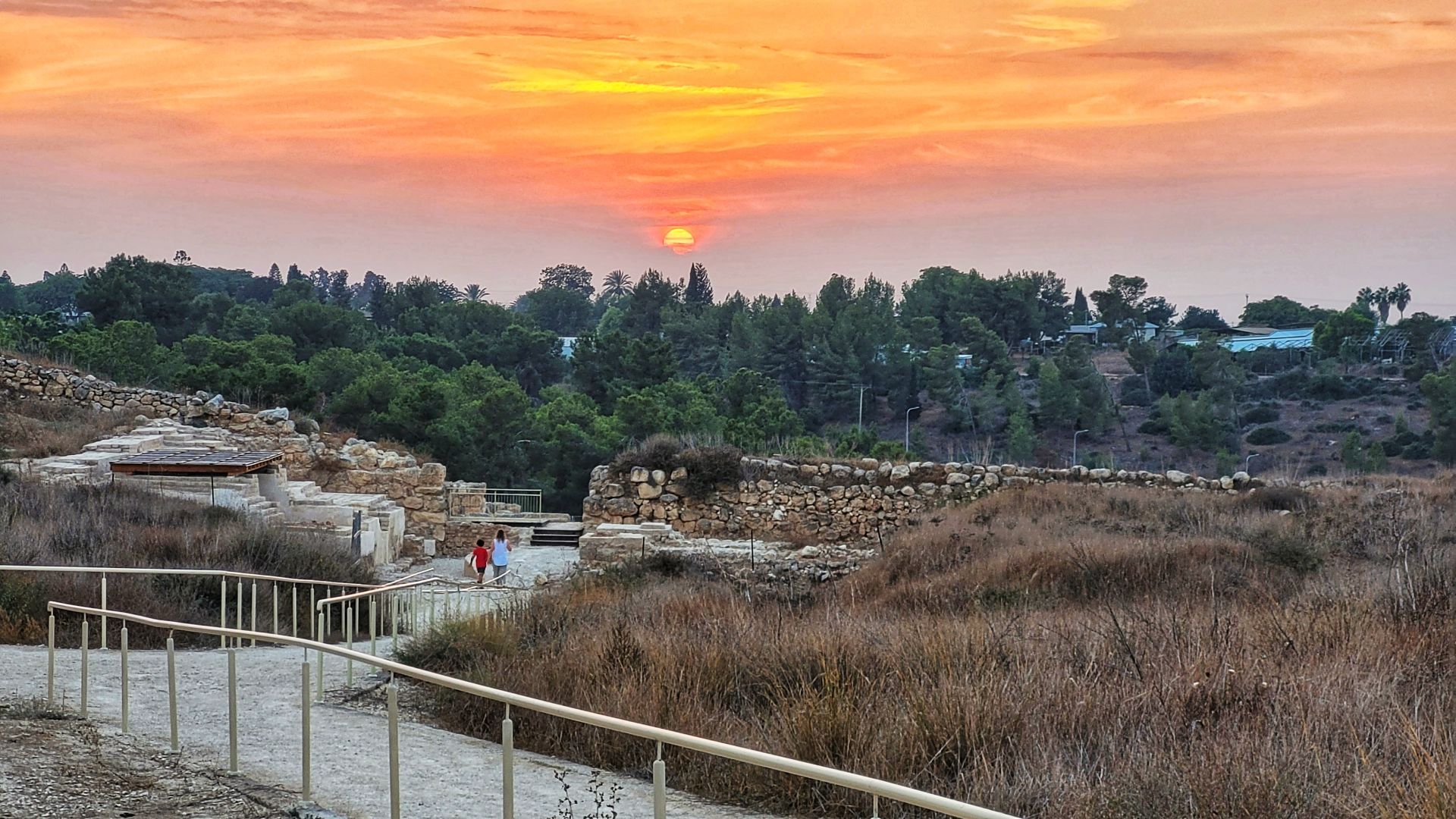 תל לכיש | צילום: יהושע לביא