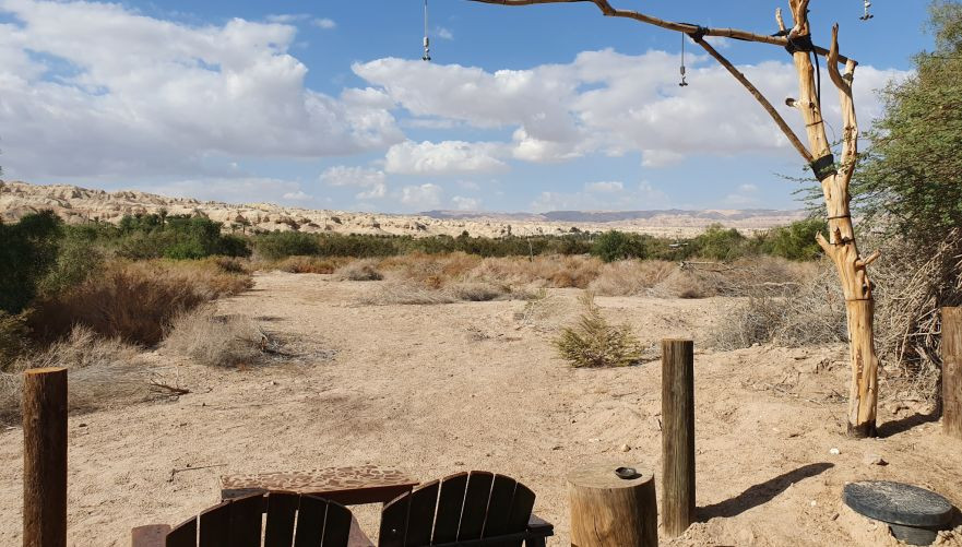 חאן שקדי, שלווה מדברית צילום: אן הורוביץ