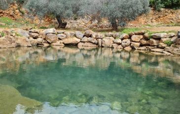 עין מג'נונה (עין יפעם) (2)