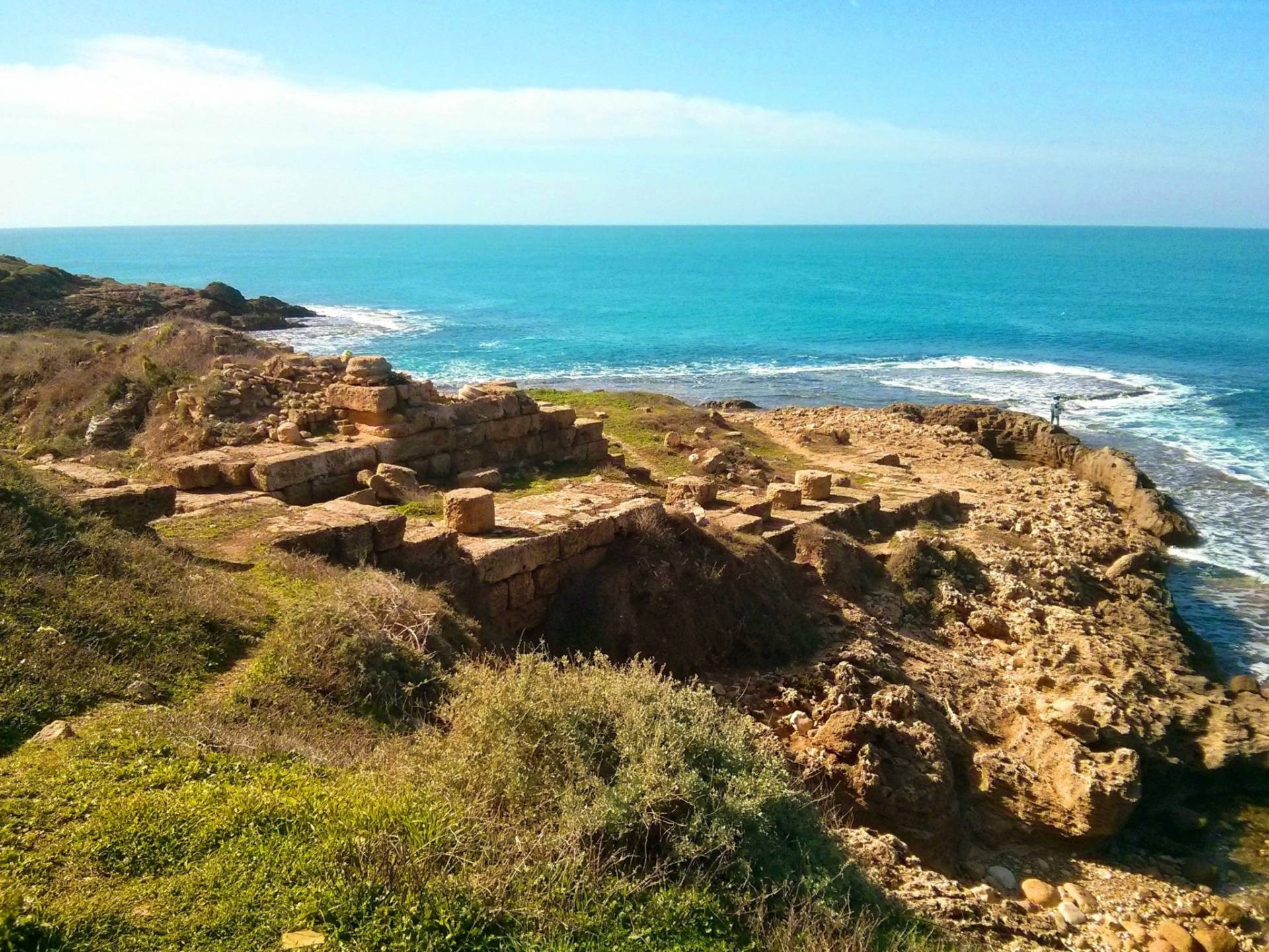 סיור בתל דור | צילום: עומר זיו