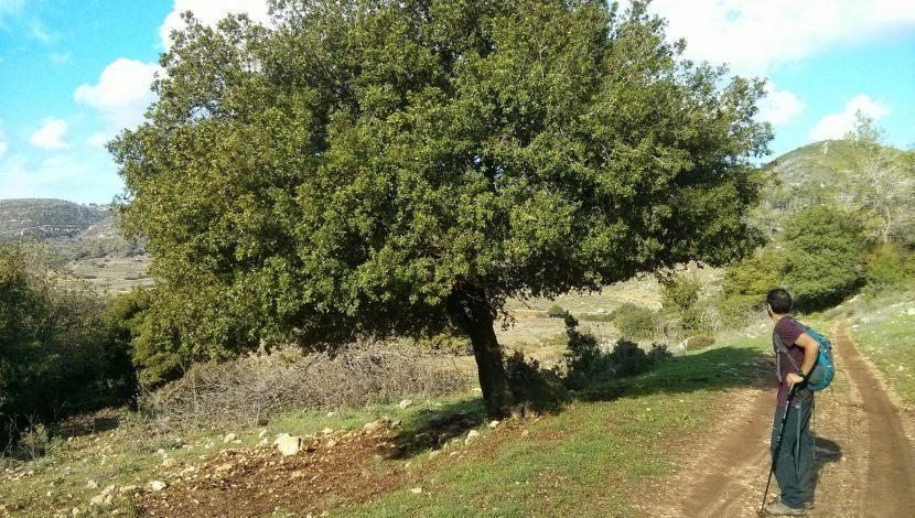 מטיילים על הר שוקף - 4 המלצות שוות לטיולים ומקומות לינה בארץ לחגים (1)