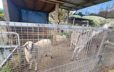 מרגוע בטבע: הפעילות שתחבר את הילדים שלכם לעולם שבחוץ (3)