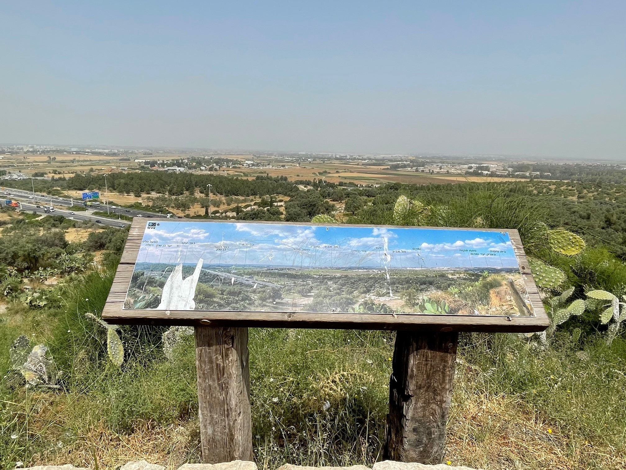 הנוף מראש תל חדיד | צילום: ארז דגן