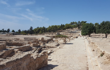 רחובות ציפורי - גן לאומי ציפורי (2)