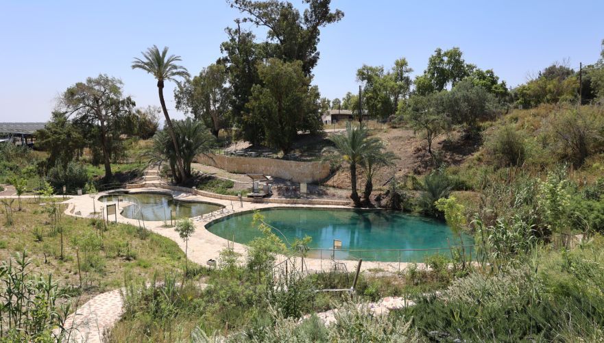 שלוש הבריכות של עין הנצי"ב | צילום: שי אייזקס, רשות הטבע והגנים