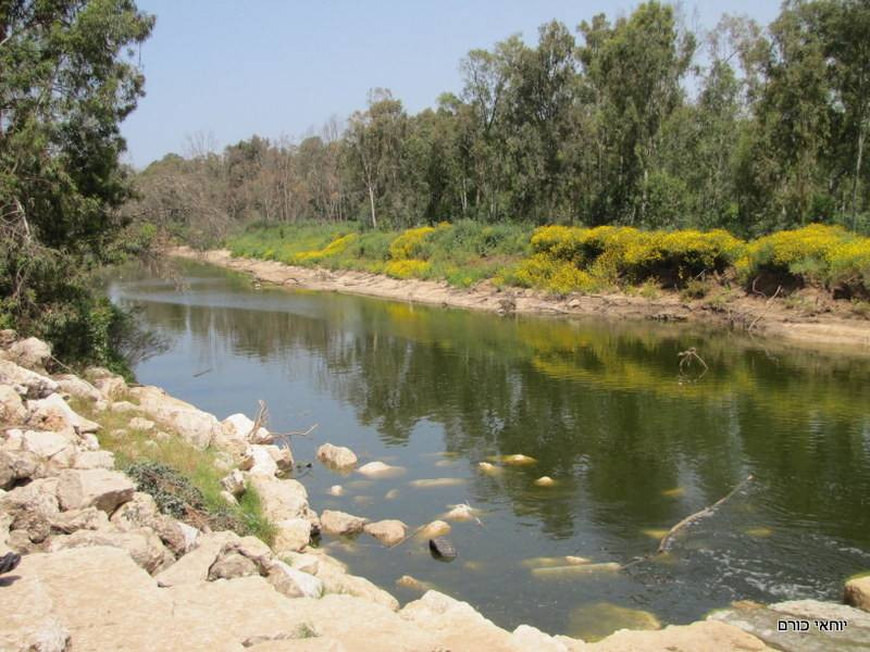 לאורך שפך שורק | צילום: יוחאי כורם