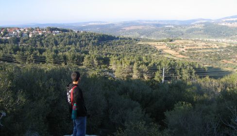 תמונה של שביל נורמן - נקודה מהאגדות - למטייל בישראל (טיולי)