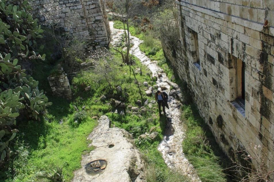 צילום: ארנון דה שליט