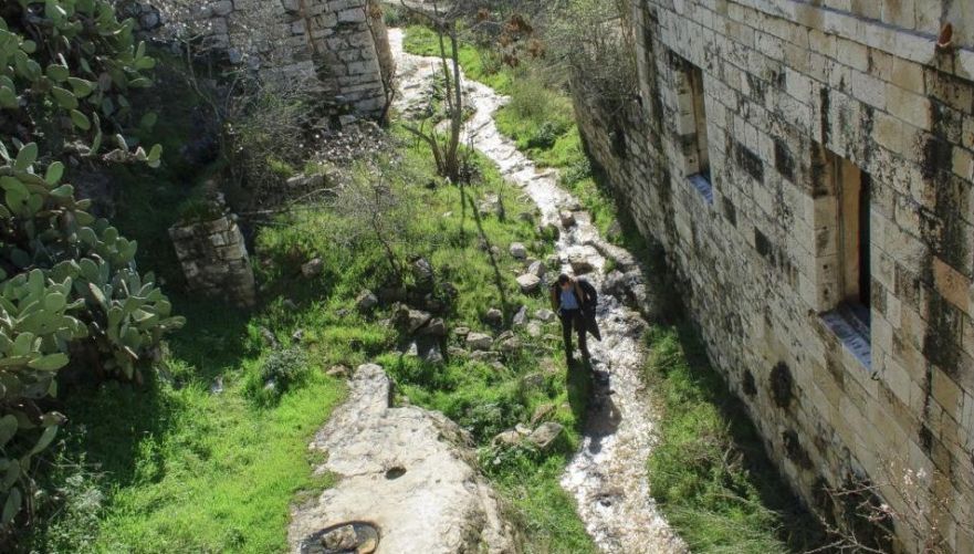 צילום: ארנון דה שליט