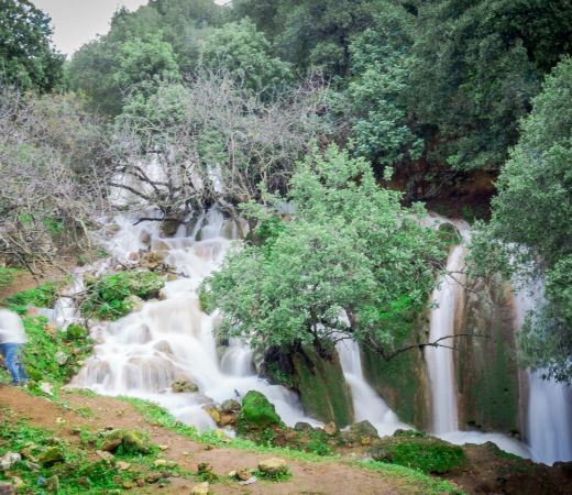 תמונה של ליד הצימר: כל הטיולים הקטנים והיפים שתוכלו לשלב בחופשה המפנקת - למטייל בישראל (טיולי)