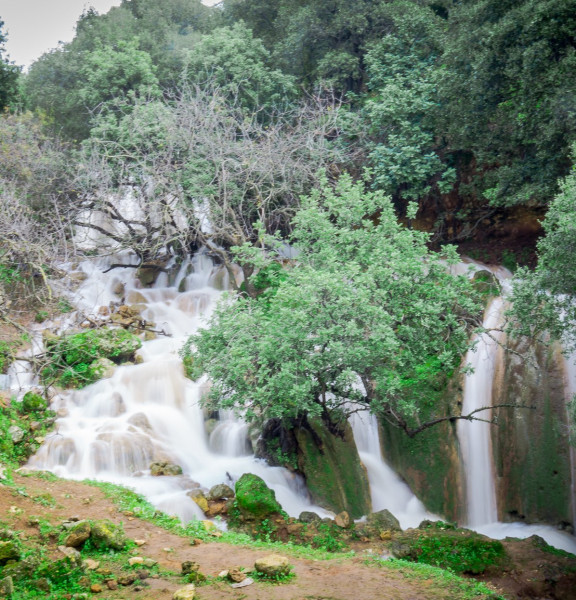 תמונה של ליד הצימר: כל הטיולים הקטנים והיפים שתוכלו לשלב בחופשה המפנקת - למטייל בישראל (טיולי)