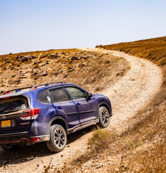 תמונה של שביל ישראל 4X4 - מקטע 9: מיער להב לתל ערד - למטייל בישראל (טיולי)