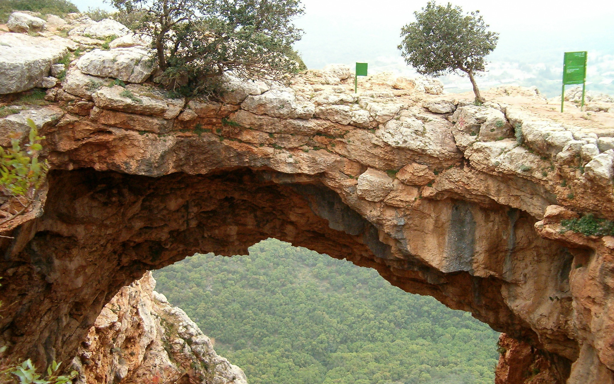 תמונה מתוך תוכן באתר למטייל בישראל (טיולי)