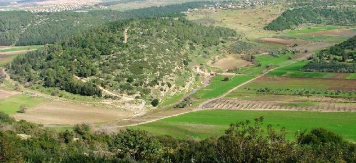 תצפית על נחל ציפורי מנופית (1)