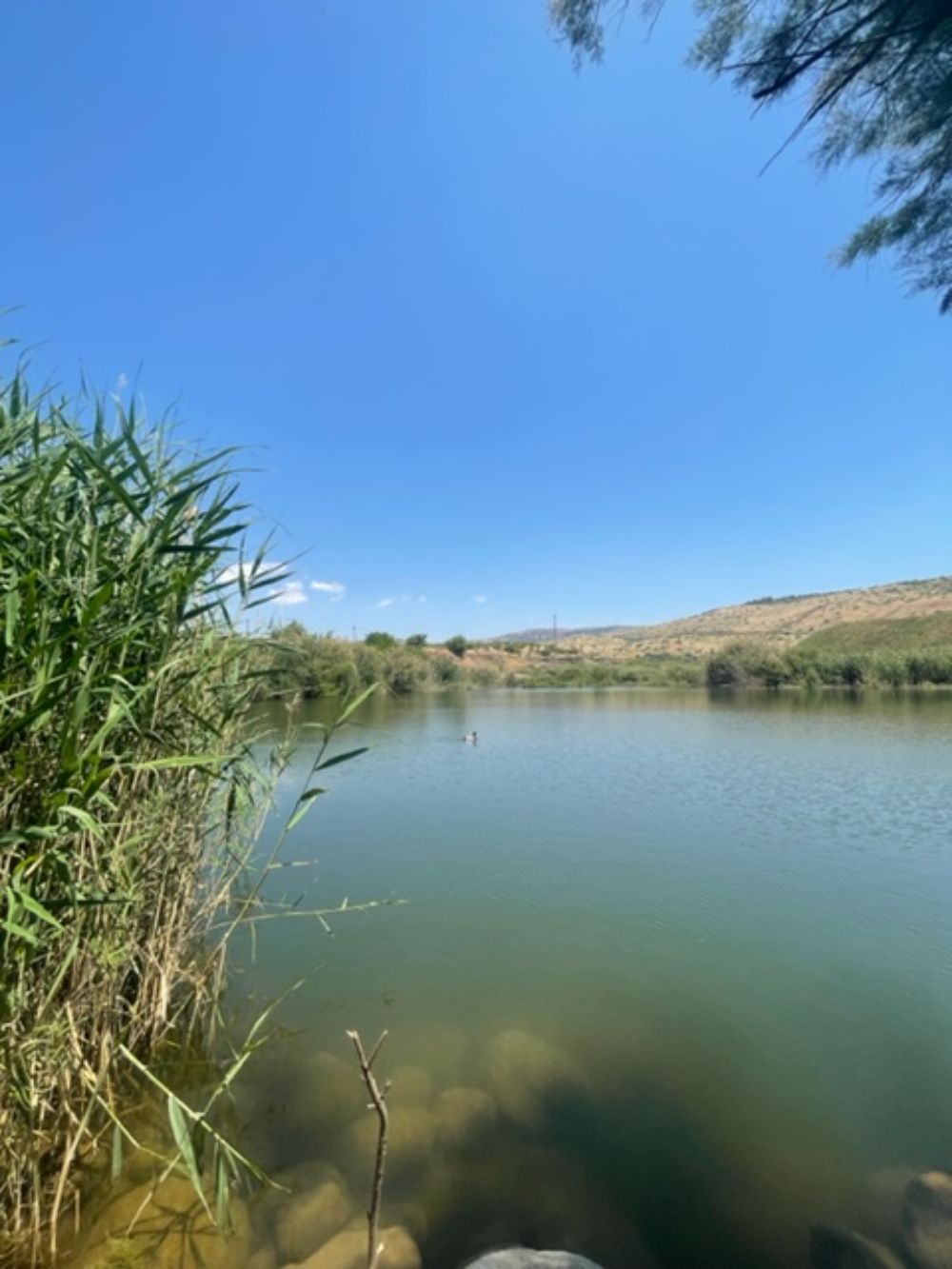 צימר מעלה השחר