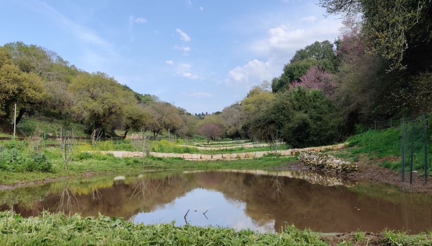 דרך הטמפלרים | צילום: נאוה סבר