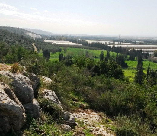 תמונה של מעיין, חורבה ונוף: השביל הפחות מוכר בכרמל | המלצה לסופ"ש - למטייל בישראל (טיולי)