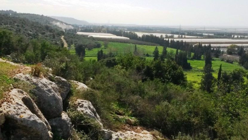 מעיין, חורבה ונוף: השביל הפחות מוכר בכרמל | המלצה לסופ