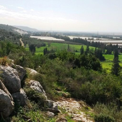 מעיין, חורבה ונוף: השביל הפחות מוכר בכרמל | המלצה לסופ"ש