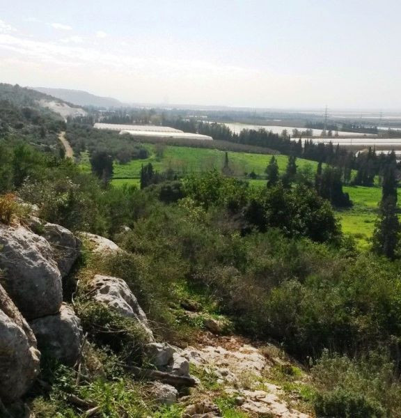 תמונה של מעיין, חורבה ונוף: השביל הפחות מוכר בכרמל | המלצה לסופ"ש - למטייל בישראל (טיולי)