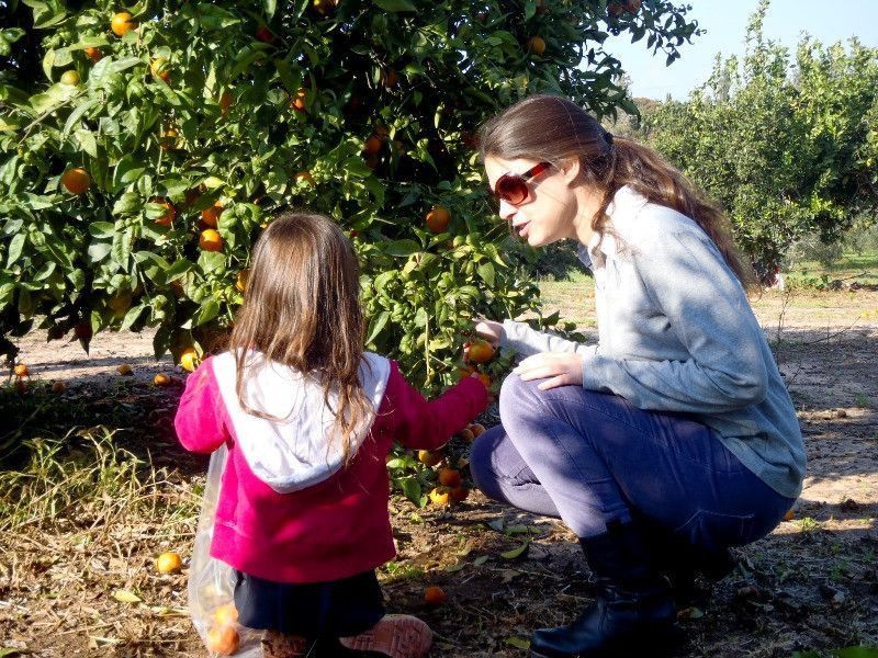 להתחבר לטבע ולירוק שסביבכם | צילום: באדיבות משק רז, כפר נטר